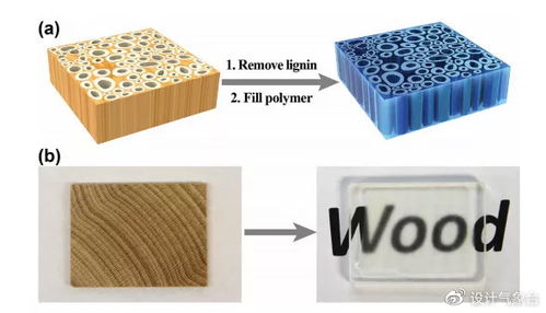 可替代玻璃的透明木材 强度超过钢的竹材料,你见过吗