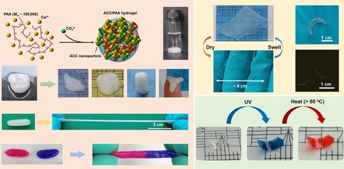 仿生材料 开启新材料时代的前沿探索